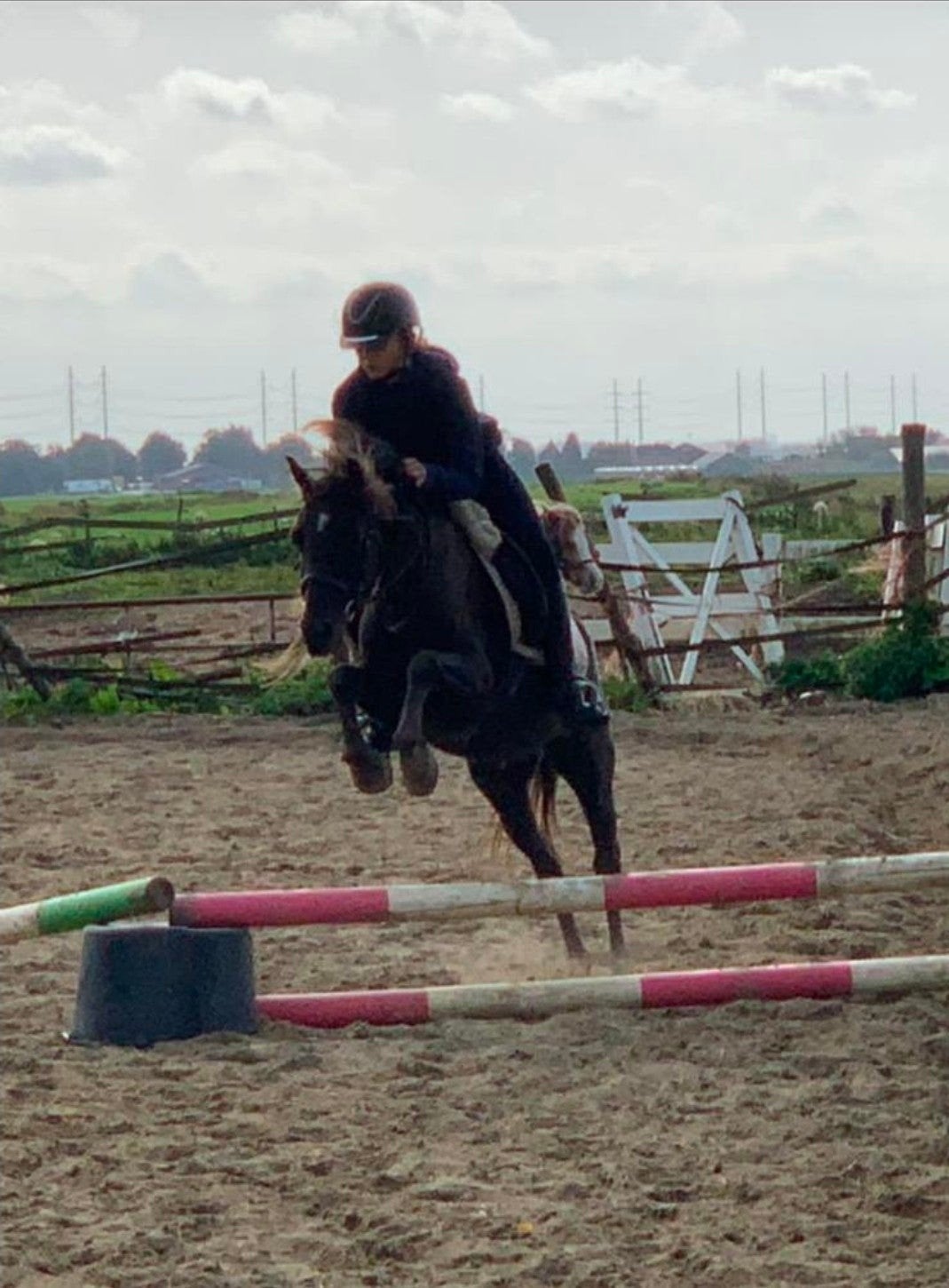 2 span Haflingers en brave kinder leerpony, Dieren en Toebehoren, Pony's
