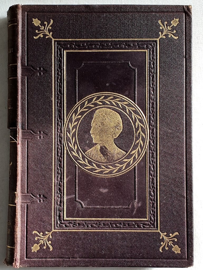 De Max Havelaar van Multatuli met fraaie omslag uit 1896, Antiek en Kunst, Verzenden, Multatuli