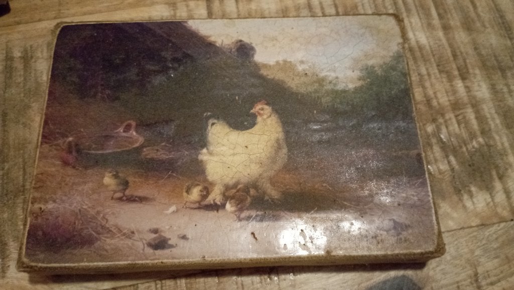 Oude dieren prentjes, Ophalen of Verzenden, Gedateerd, Print, Dieren