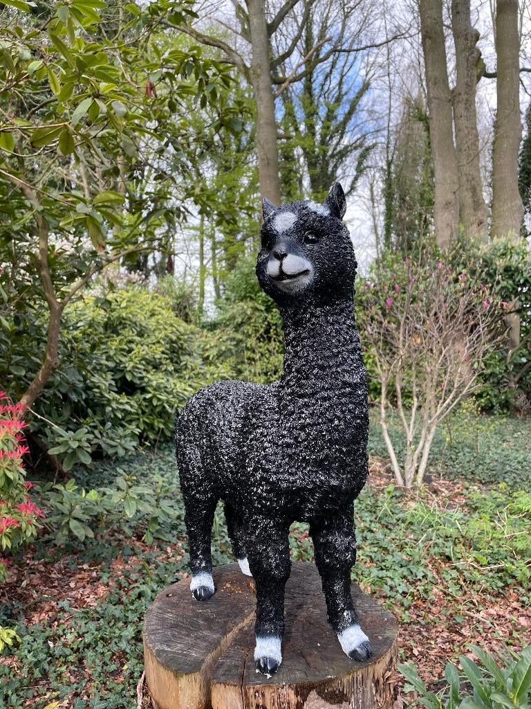Alpaca, lama, zwart, tuin, gazon, manege, boerderij 55cm, Ophalen, Nieuw, Kunststof, Dierenbeeld