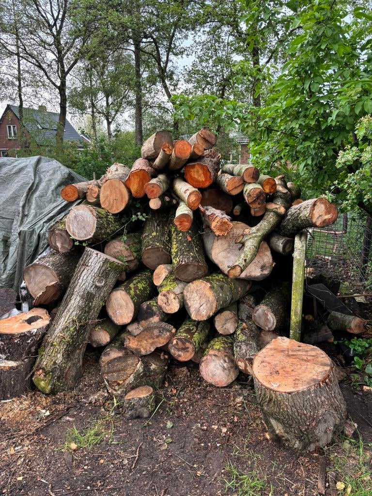 Stamhout haardhout, 3 tot 6 m³, Ophalen, Stammen