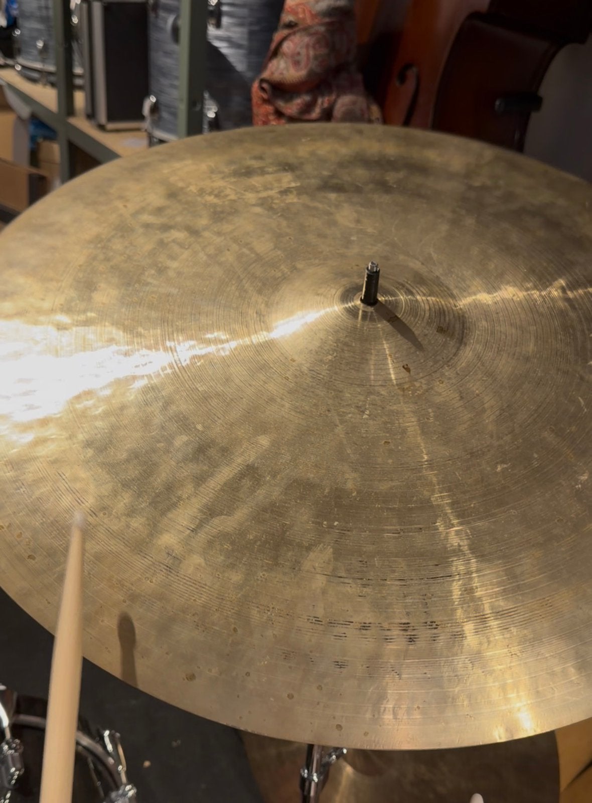 Funch Nefertitti 24”