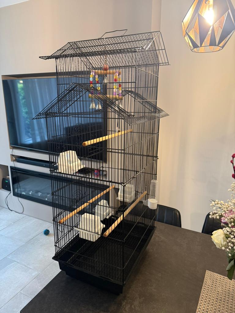 Prachtig vogel kooi, Ophalen
