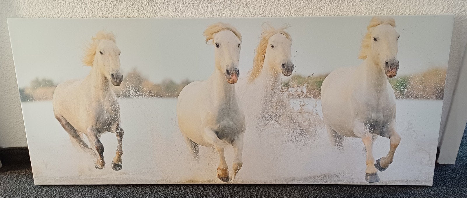 canvas schilderij paarden, Ophalen, Zo goed als nieuw, Schilderij, 75 tot 100 cm