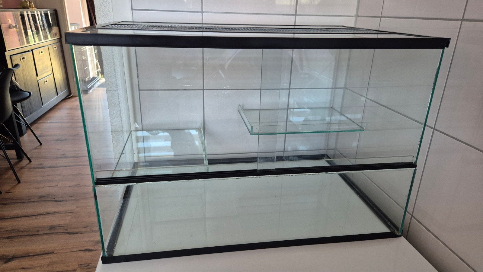 Glazen hamster/muize kooi, Kooi, Minder dan 75 cm, Zo goed als nieuw, Hamster