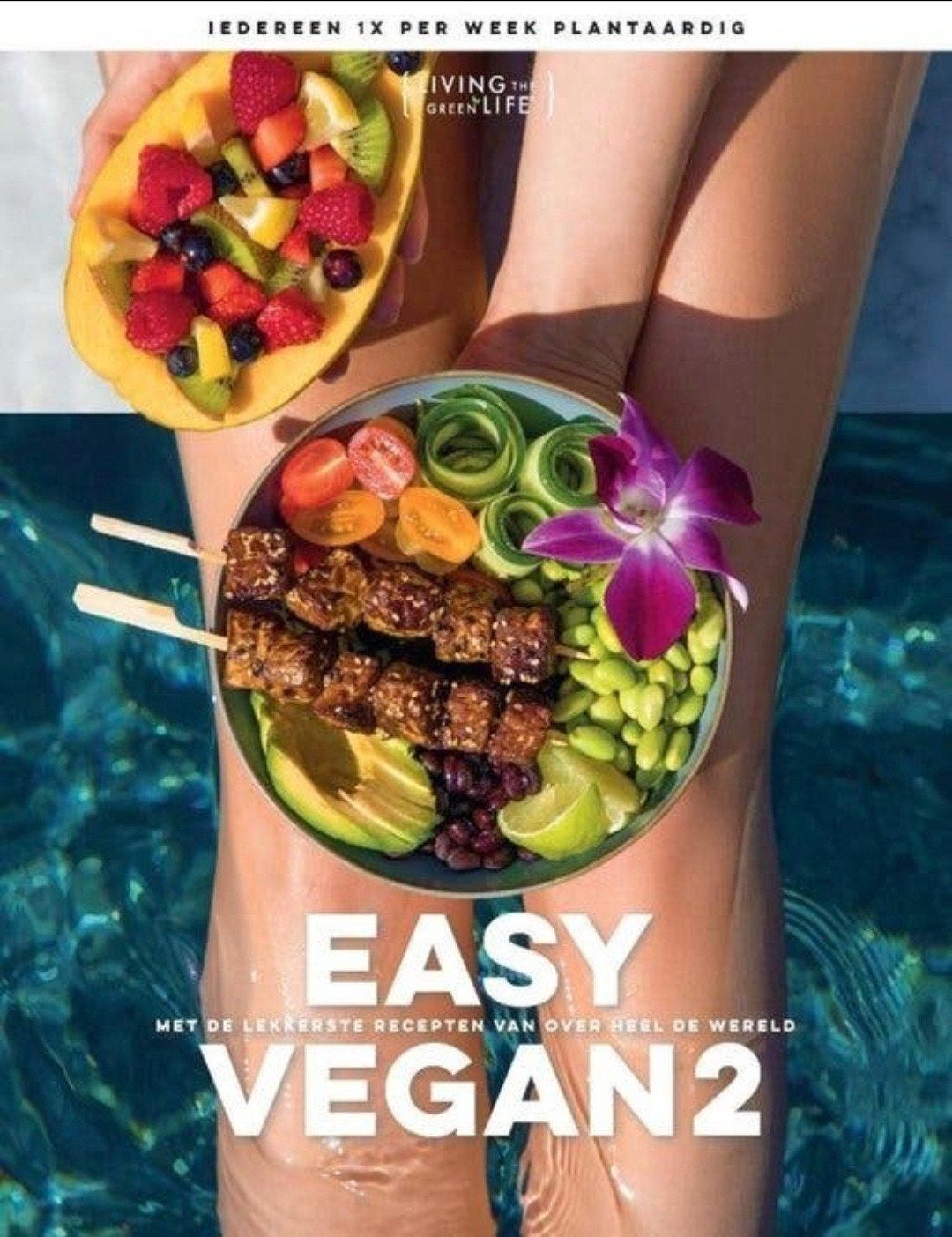 Easy Vegan 2 - Living the Green Life

Met de lekkerste recep, Verzenden, Zo goed als nieuw