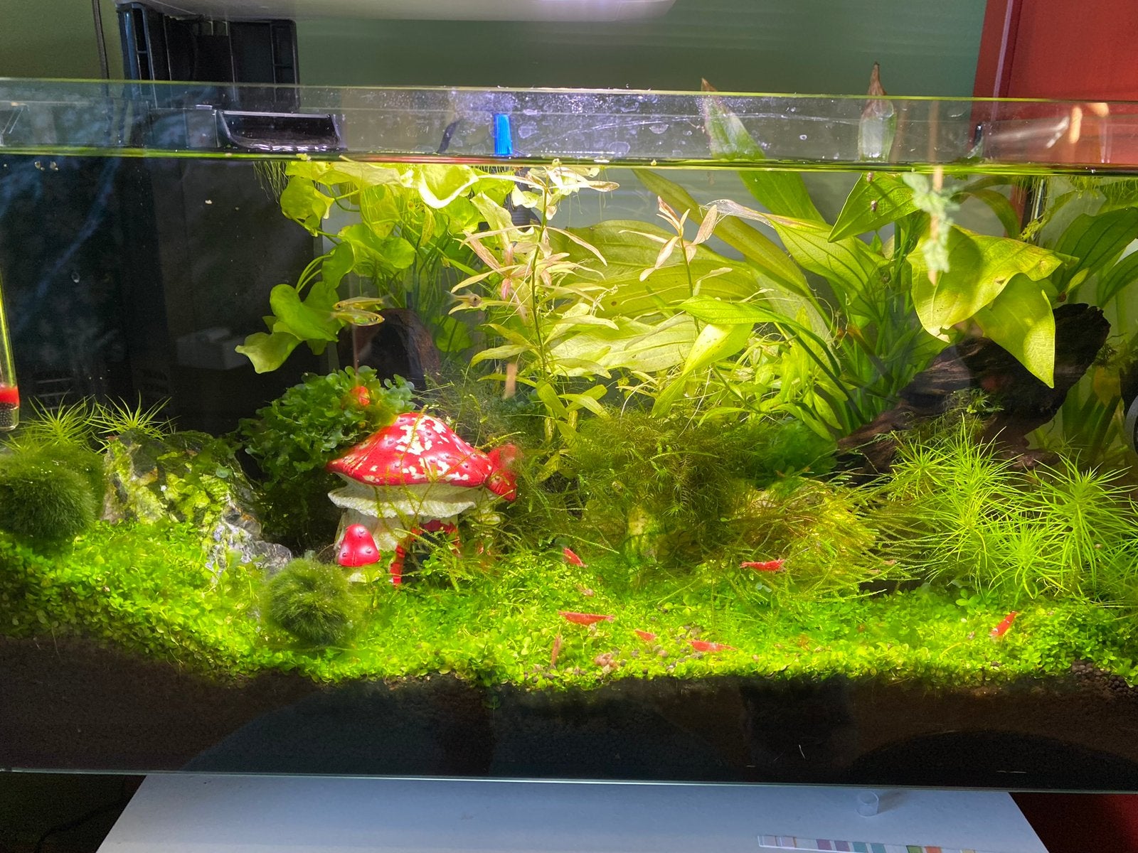 Superfish quadro 40 aquarium met toebehorende, Ophalen, Inclusief deksel, Nieuw, Leeg aquarium