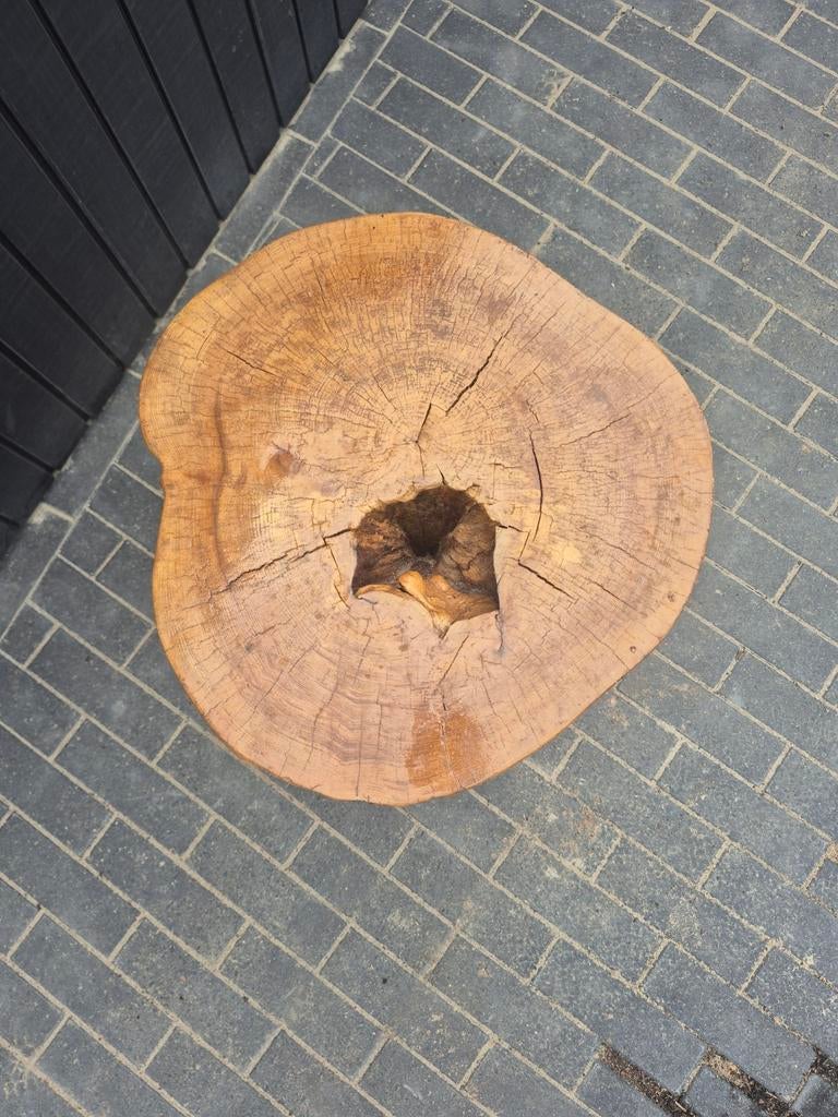 Boomstronk bijzettafel op wielen - gelakt en geolied, Rustiek, Industrieel, Natuurlijk, Gebruikt, Rond, 55 tot 75 cm