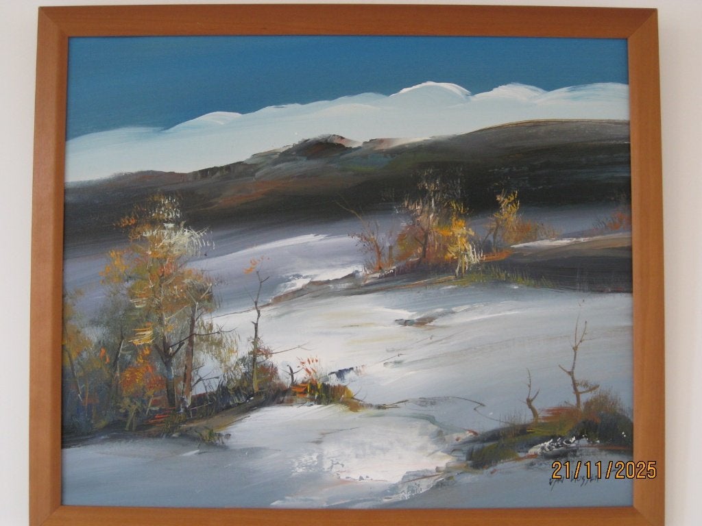Olieverf schilderij op doek in lijst - Nancy Van Hussen., Ophalen, Doek, Origineel werk, Landschap