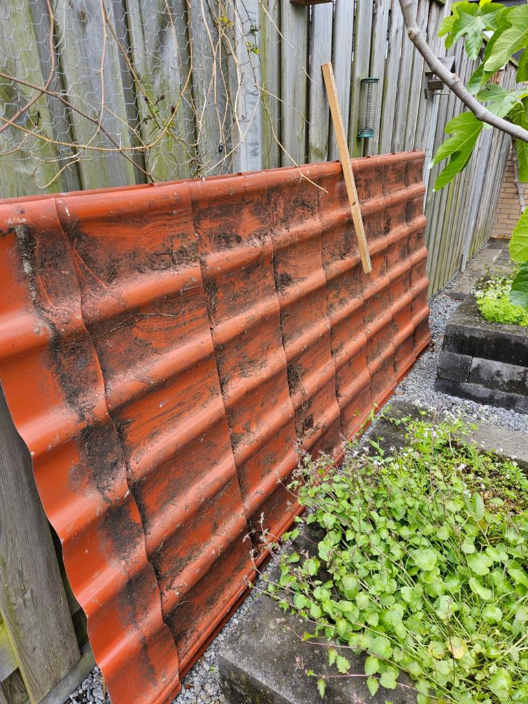 2 stalen dakplaten panmotief, Doe-het-zelf en Verbouw, Dakpannen en Dakbedekking, Ophalen, Metaal, 15 m² of meer, Dakplaat of Dakpanplaat
