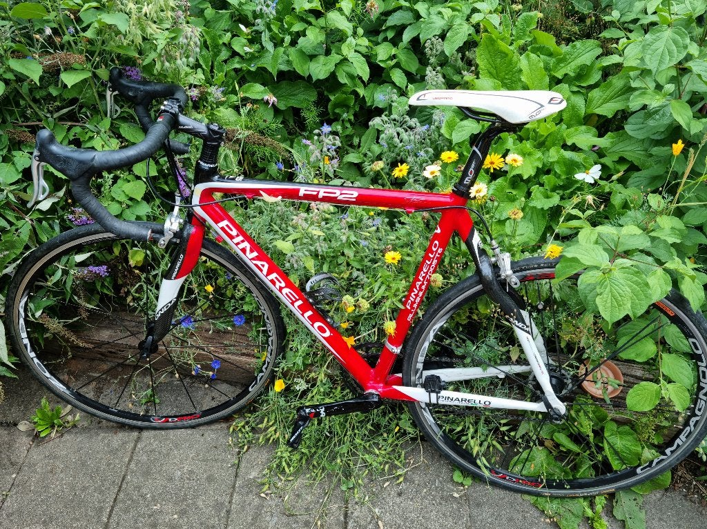 Pinarello FP2 Race Bike, Fietsen en Brommers, Carbon, 15 tot 20 versnellingen, 53 tot 57 cm, Ophalen