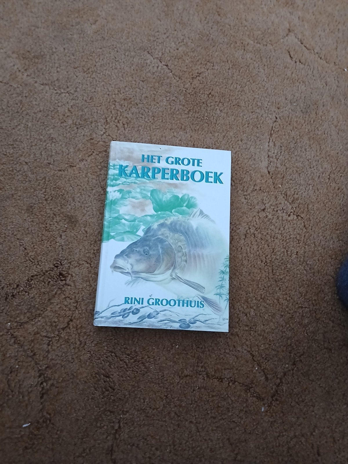 Het Grote Karperboek - Rini Groothuis, Boeken, Ophalen of Verzenden