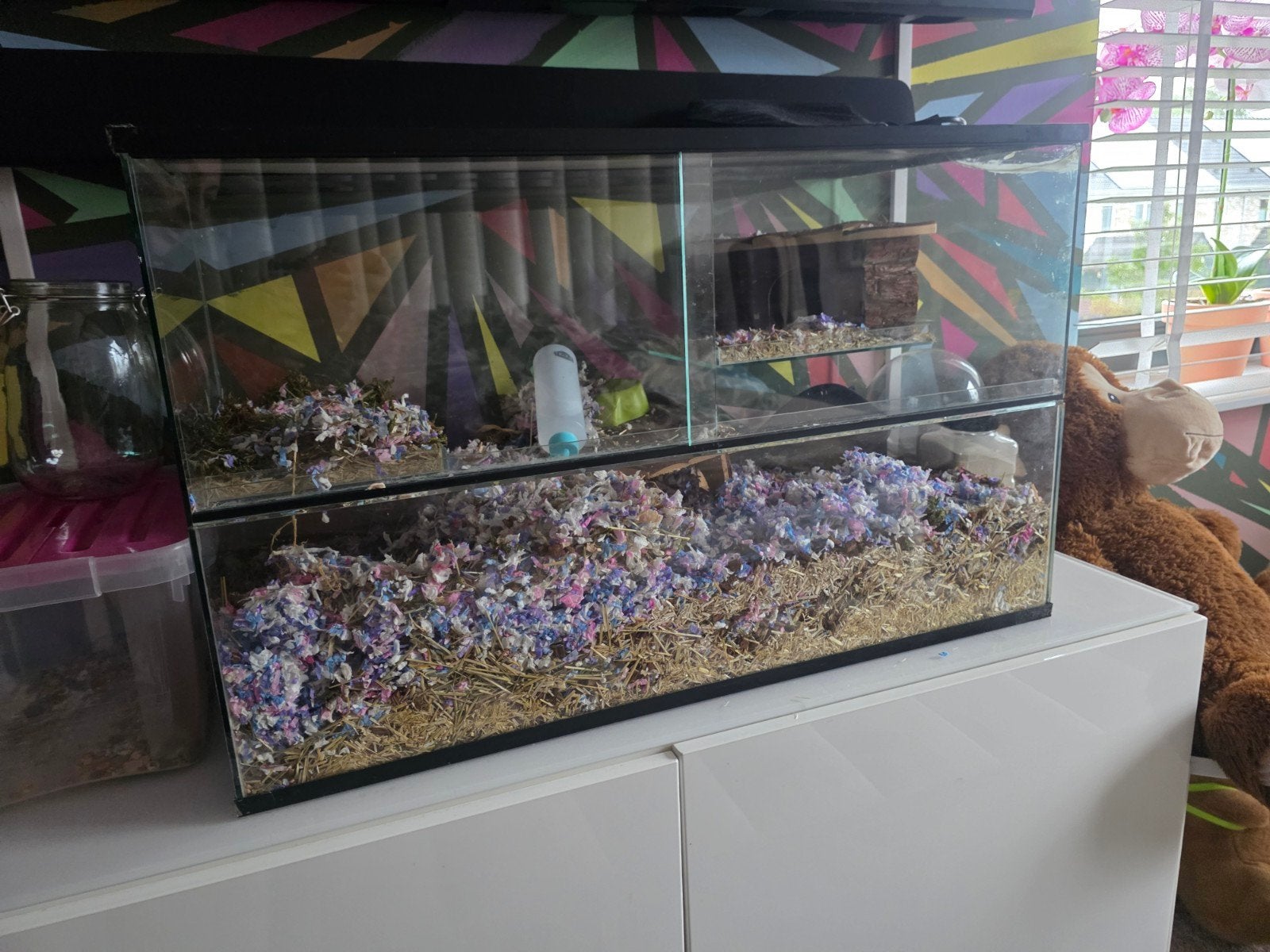 knaagdieren terrarium hok hamsterhok, Dieren en Toebehoren, Ophalen, Gebruikt, Overige typen