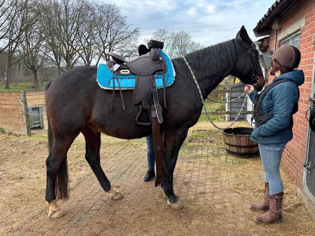 Freemax Westernzadel Buffel en Pools Full Quater zadel, Ophalen, Overige merken, Aanpassysteem, Zo goed als nieuw