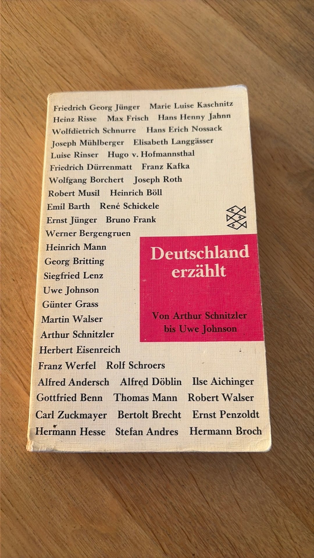 Deutschland erzählt - Von Arthur Schnitzler bis Uwe Johnson, Ophalen of Verzenden, Gelezen, Europa overig