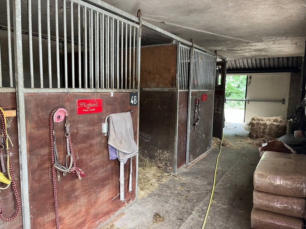 Paardenstal met weidegang en paddock/bak, Dieren en Toebehoren, Stalling en Weidegang, Weidegang, 4 paarden of pony's of meer