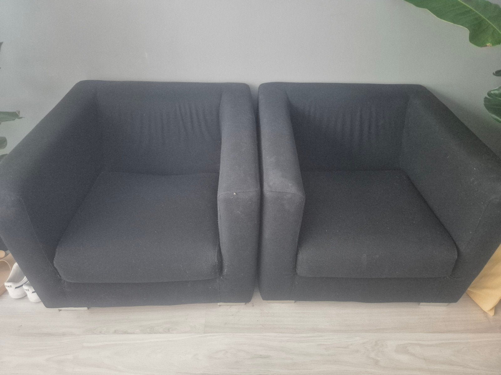 2 grote zwarte Fateauls, Dieren en Toebehoren, Ophalen