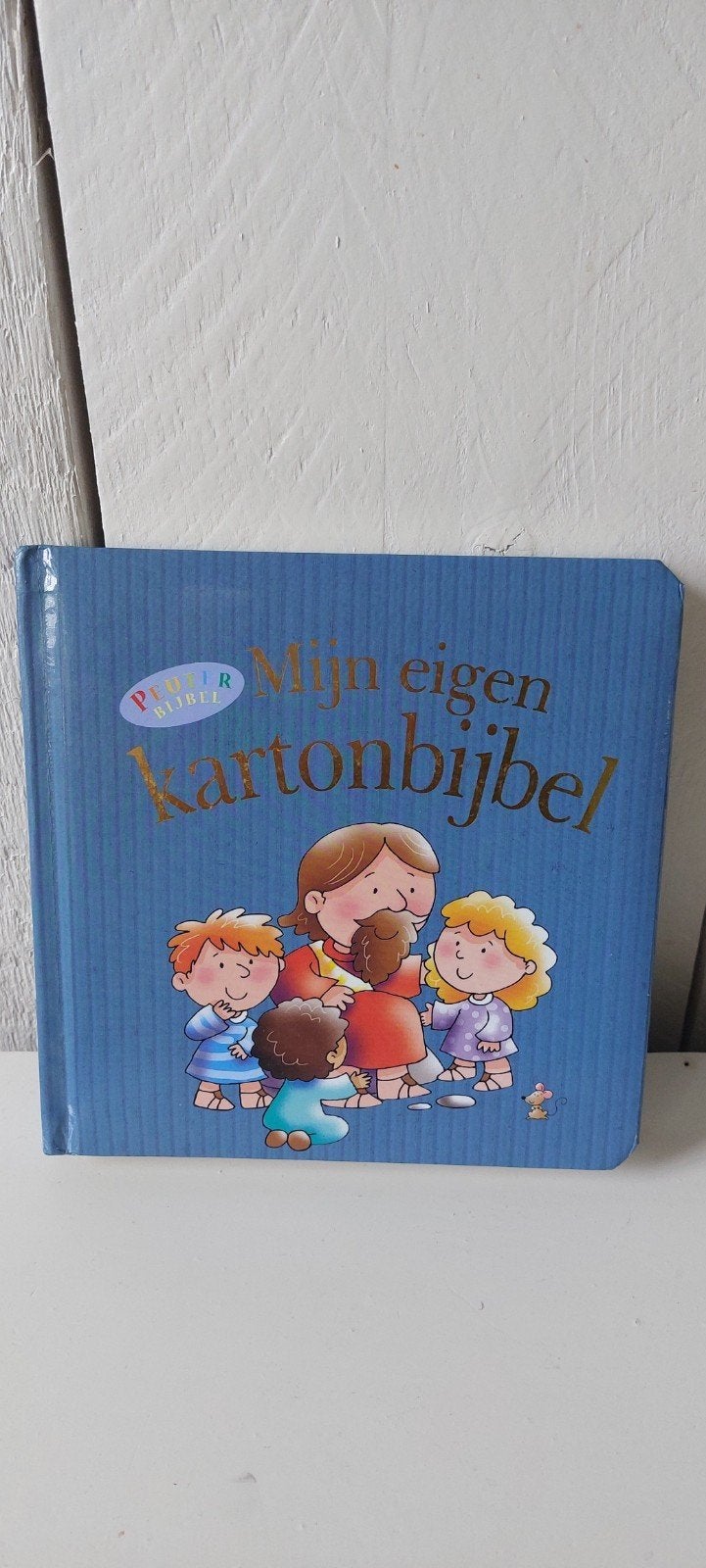 kinderbijbel " mijn eigen kartonbijbel " voor peuters, Ophalen of Verzenden, Gelezen