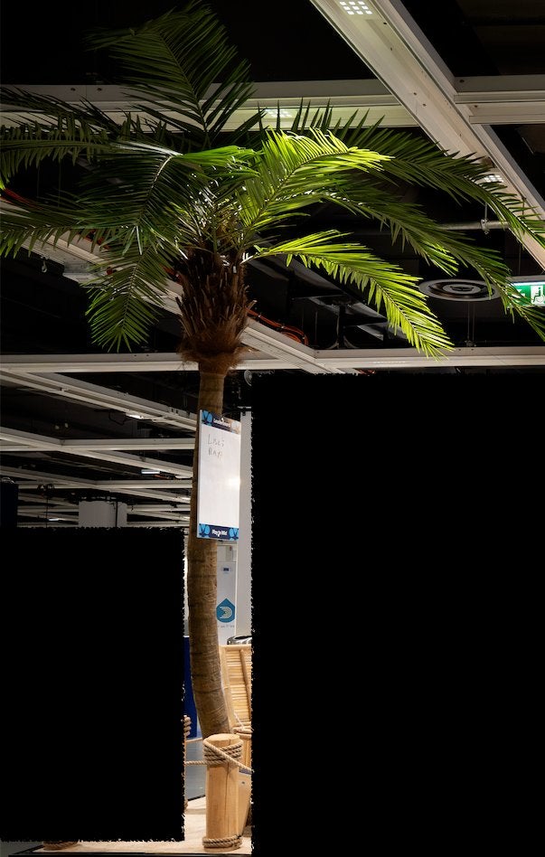 XXL kunstpalm Phoenix 300 cm - kunstboom horeca - 2 stuks, Bloeit niet, 250 tot 400 cm, Volledige schaduw, Palmboom