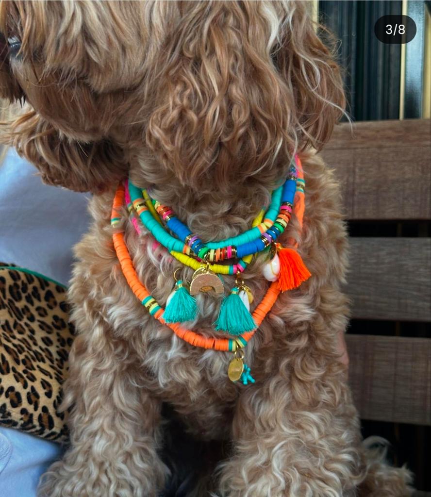 GEZOCHT  dog with a mission ketting, Ophalen of Verzenden