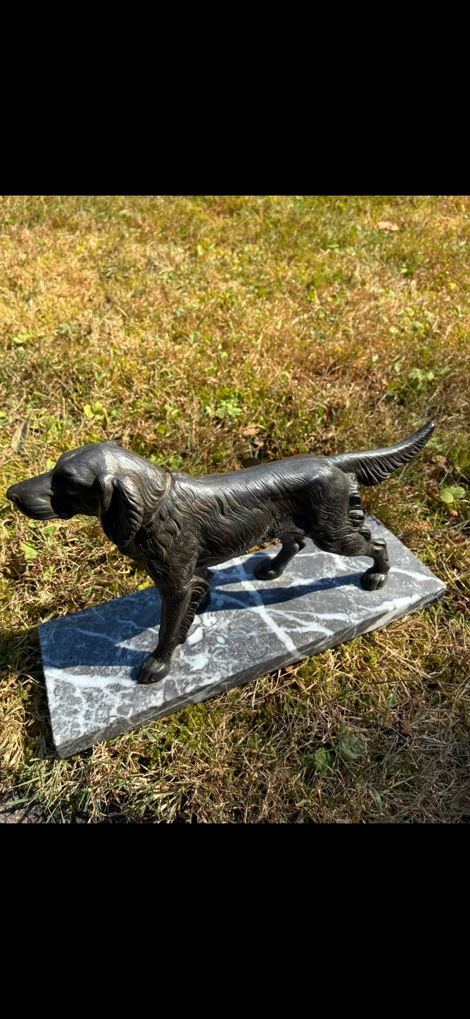 Bronzen jachthond beeld op marmeren sokkel, Antiek en Kunst, Ophalen of Verzenden, 20 - 50 cm, Op sokkel, Beeld