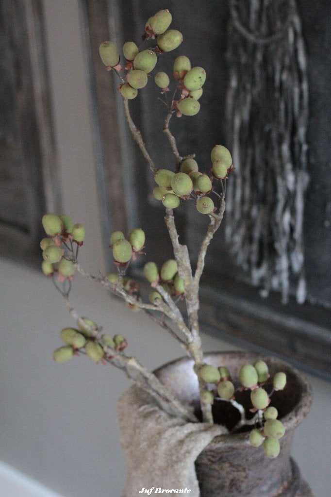 BRYNXZ Alnus grande green / dadeltak groen, Www.jufbrocante.nl, Www.jufbrocante.nl, Nieuw, Ophalen of Verzenden