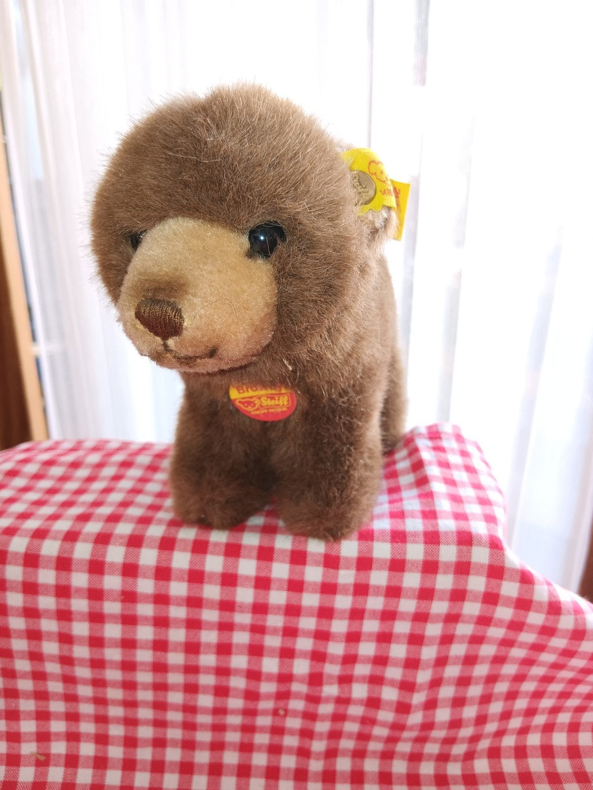 Steiff Teddy, Ophalen of Verzenden, Zo goed als nieuw, Stoffen beer, Steiff