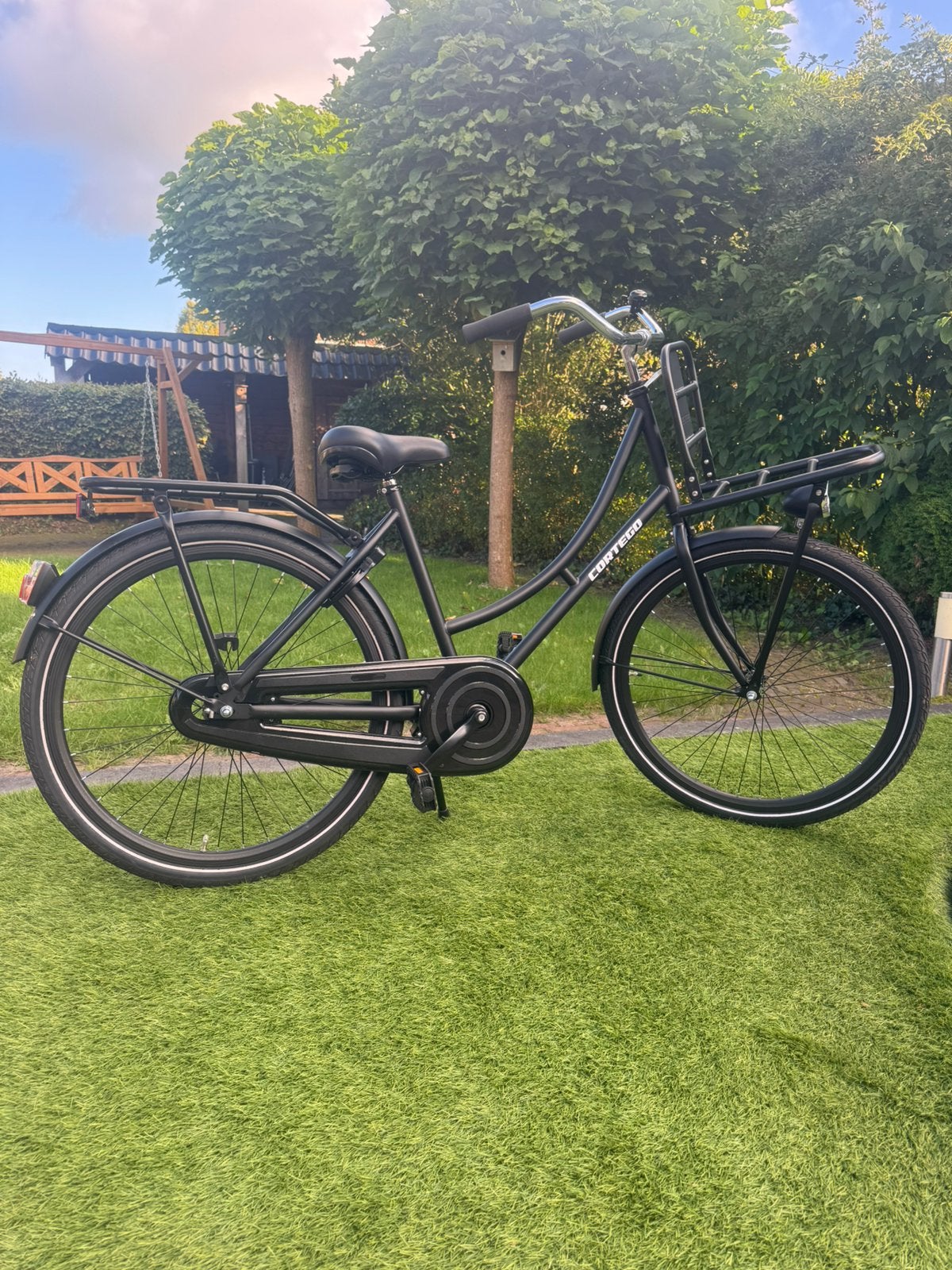 Oma fiets 26 inch, meidenfiets, Fietsen en Brommers, Ophalen, Nieuw, Terugtraprem