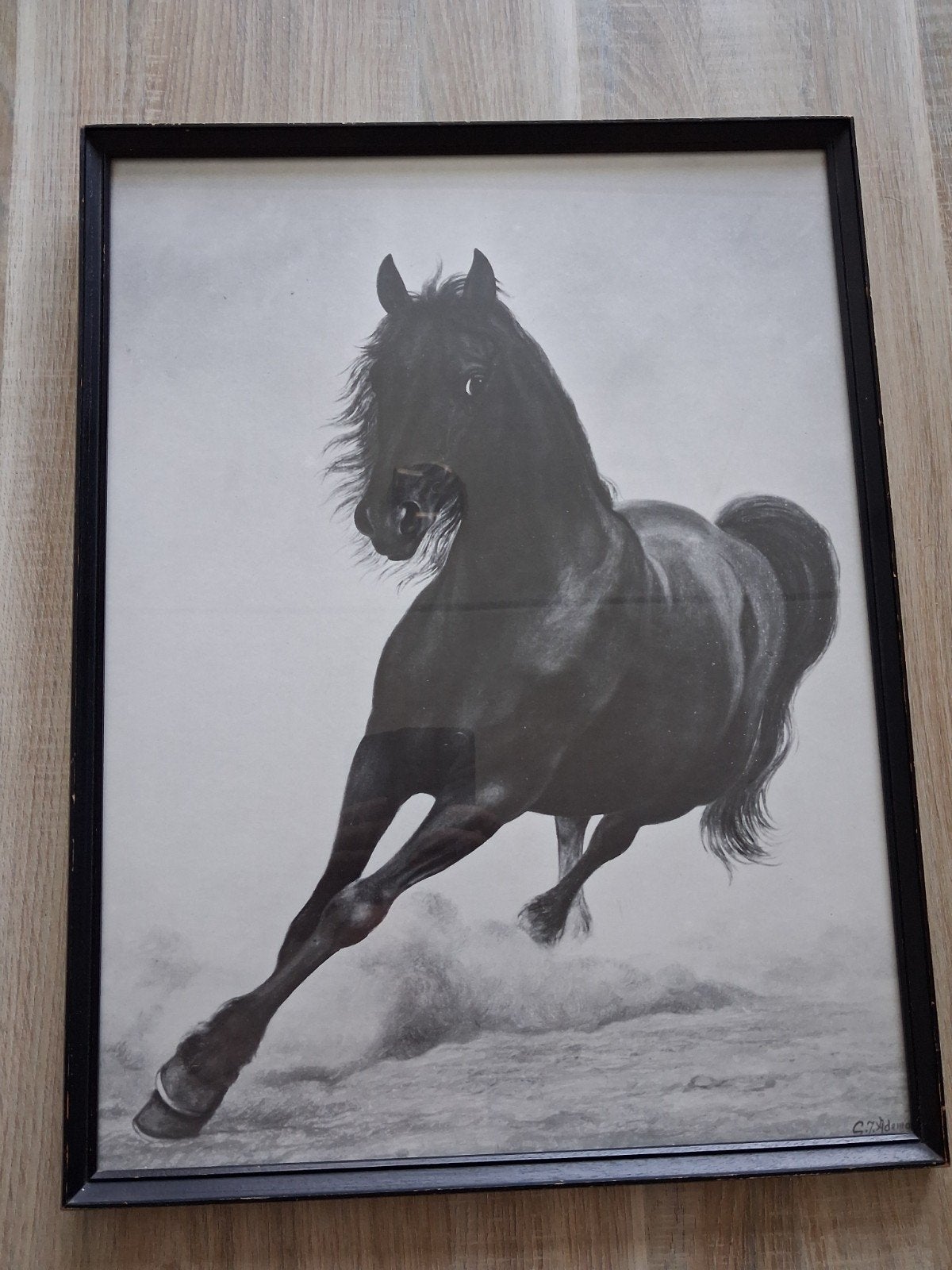 Vintage Ingelijste Kunstdruk Zwart Paard – G.J. Adema, Gesigneerd, Ophalen of Verzenden, Dieren en Natuur, Overige techniek