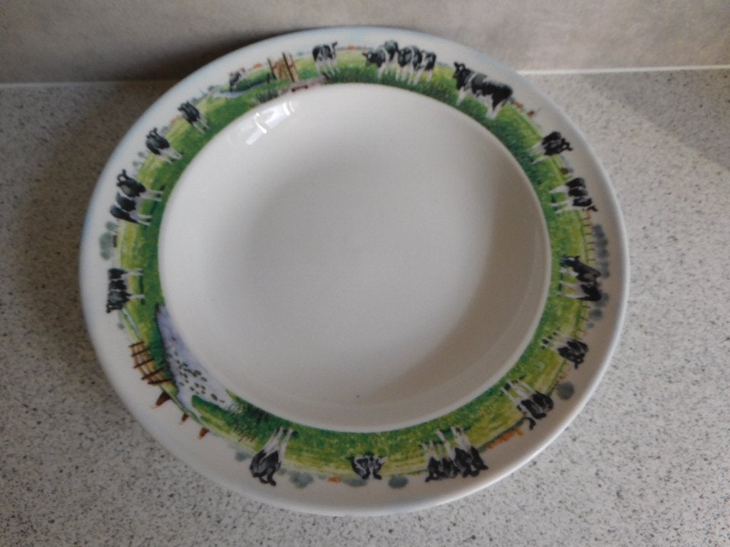 Diep Bord 23 cm. Landelijk Leven  Wiebe v.d. Zee, Overige merken, Ophalen of Verzenden, Zo goed als nieuw, Bord(en)