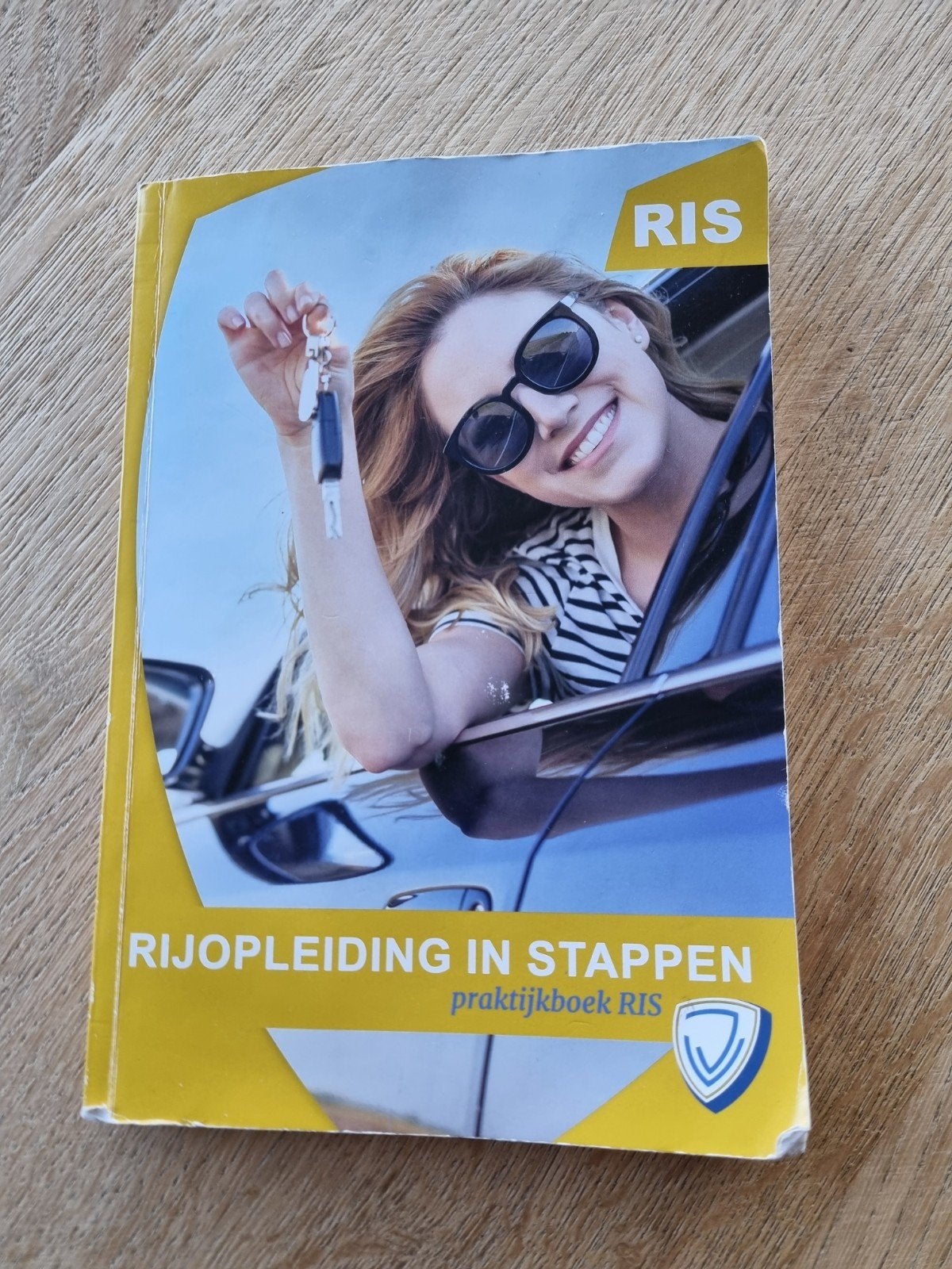 RIS Rijopleiding in Stappen Praktijkboek, Boeken, Ophalen, Zo goed als nieuw, Overige niveaus, Verjo bv