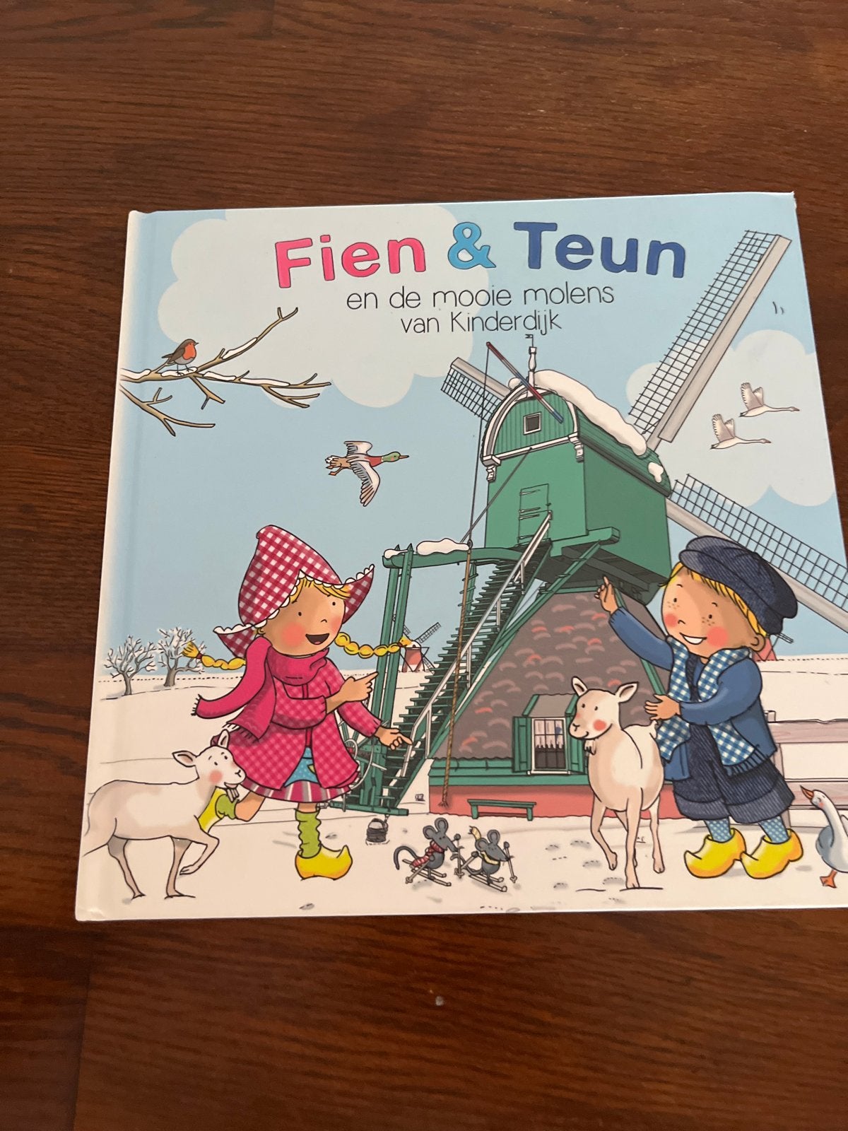 Fien & Teun en de mooie molens van Kinderdijk, Ophalen of Verzenden, Zo goed als nieuw, 2 tot 3 jaar