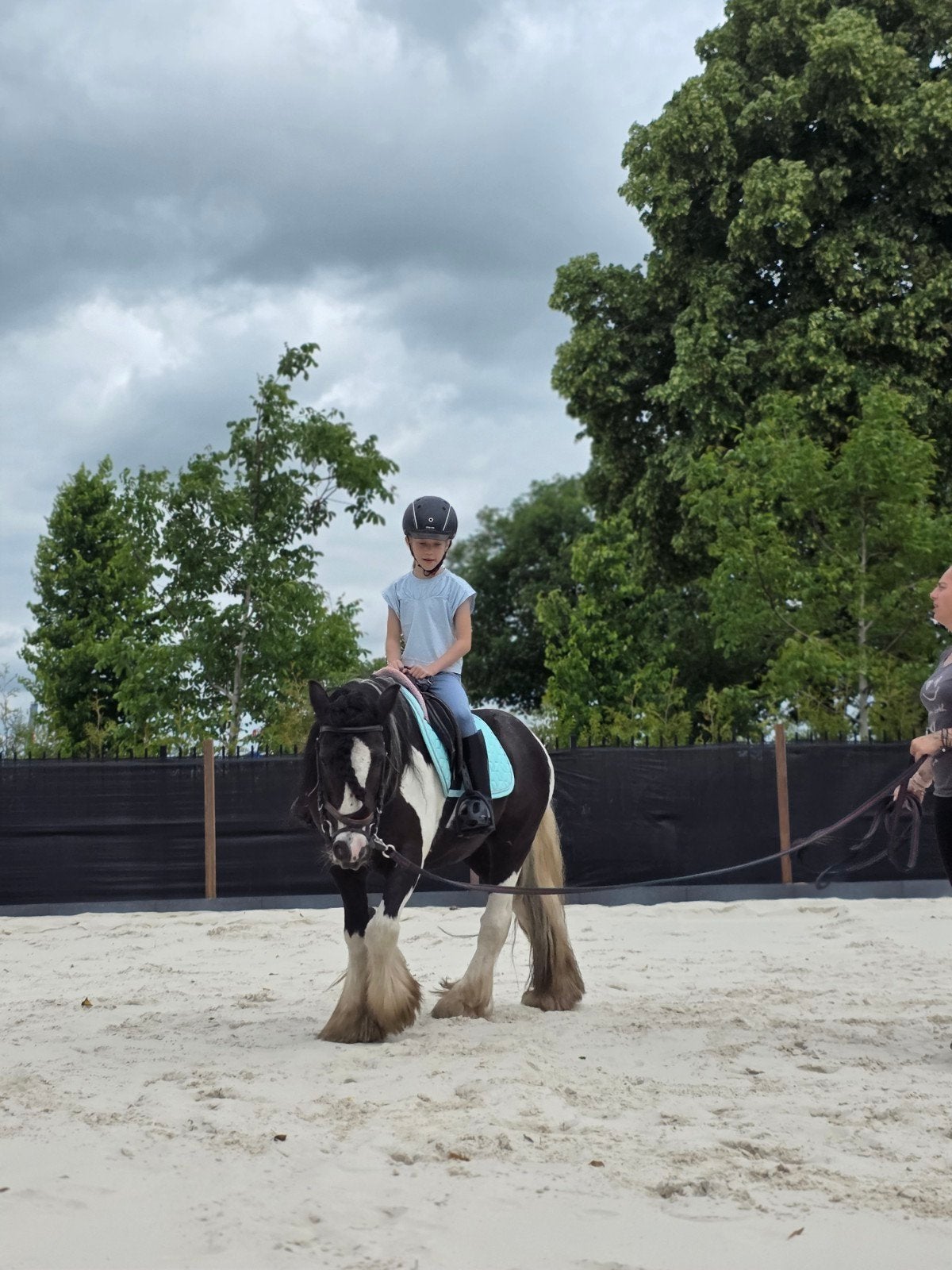 Mini tinker, Ruin, Niet van toepassing, B pony (1.17m tot 1.27m), 11 jaar of ouder