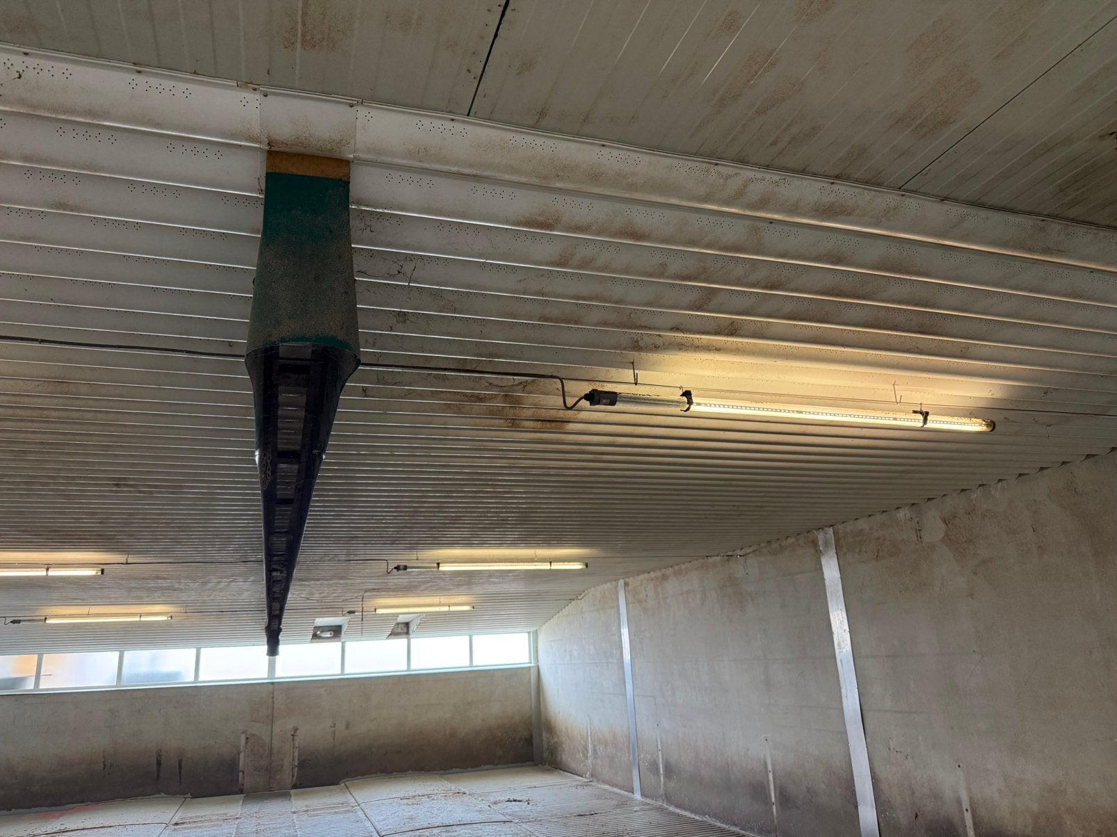 Custers ventilatie plafond, Dieren en Toebehoren, Schapen, Geiten en Varkens, Meerdere dieren, Varken