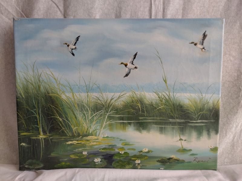 Moerasafbeelding met waterlelies en wilde eenden, Minder dan 50 cm, Ophalen of Verzenden, Zo goed als nieuw, Schilderij