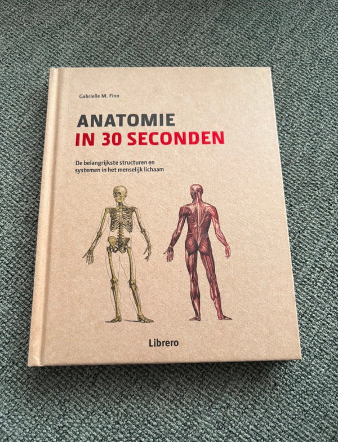 Anatomie in 30 seconde - Gabrielle M. Finn, Ophalen of Verzenden, Nieuw, Overige wetenschappen