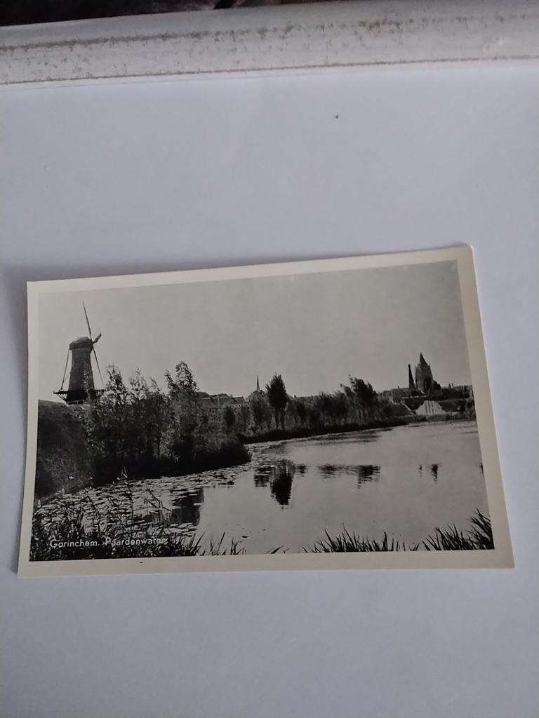 GORINCHEM. PAARDENWATER, Ophalen of Verzenden, Voor 1920, Zuid-Holland