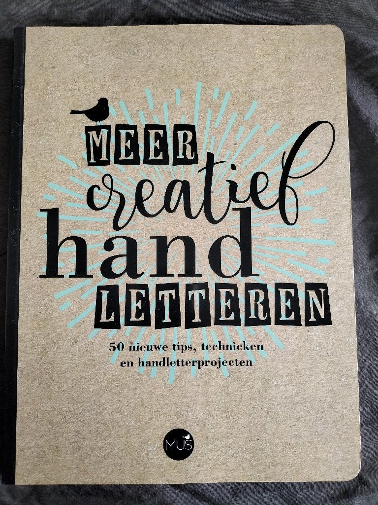 Meer creatief handletteren, Ophalen of Verzenden, Nieuw, Tekenen en Schilderen