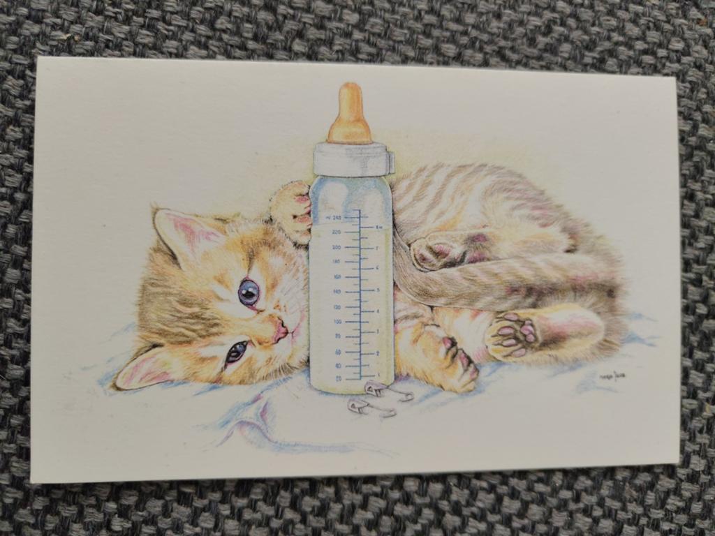 Met poes, Verzamelen, Ophalen of Verzenden, 1980 tot 1990, Geboortekaartje