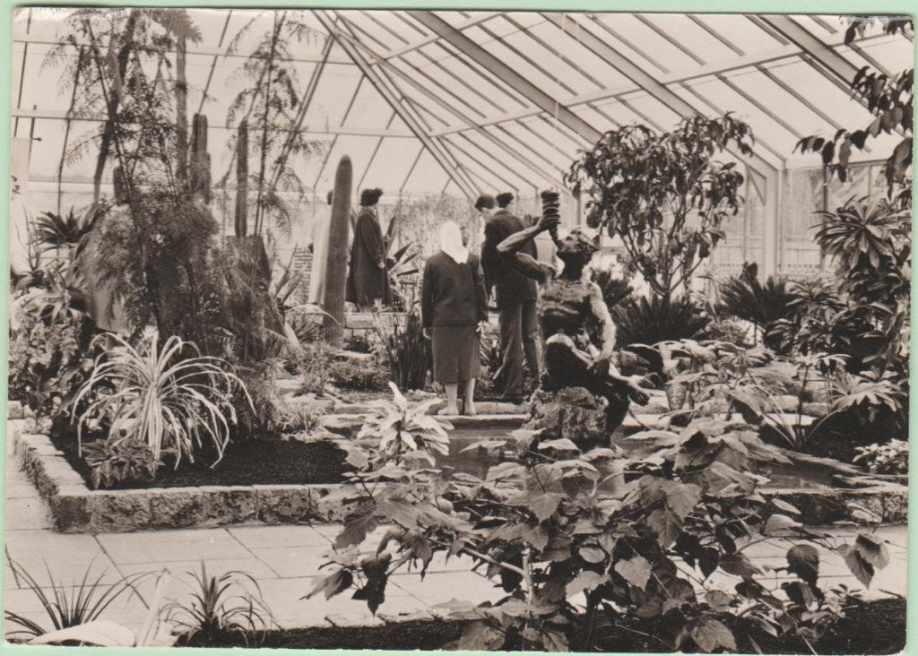 Rotterdam Floriade originele foto 1960., Ophalen, 1940 tot 1960, Gelopen, Zuid-Holland