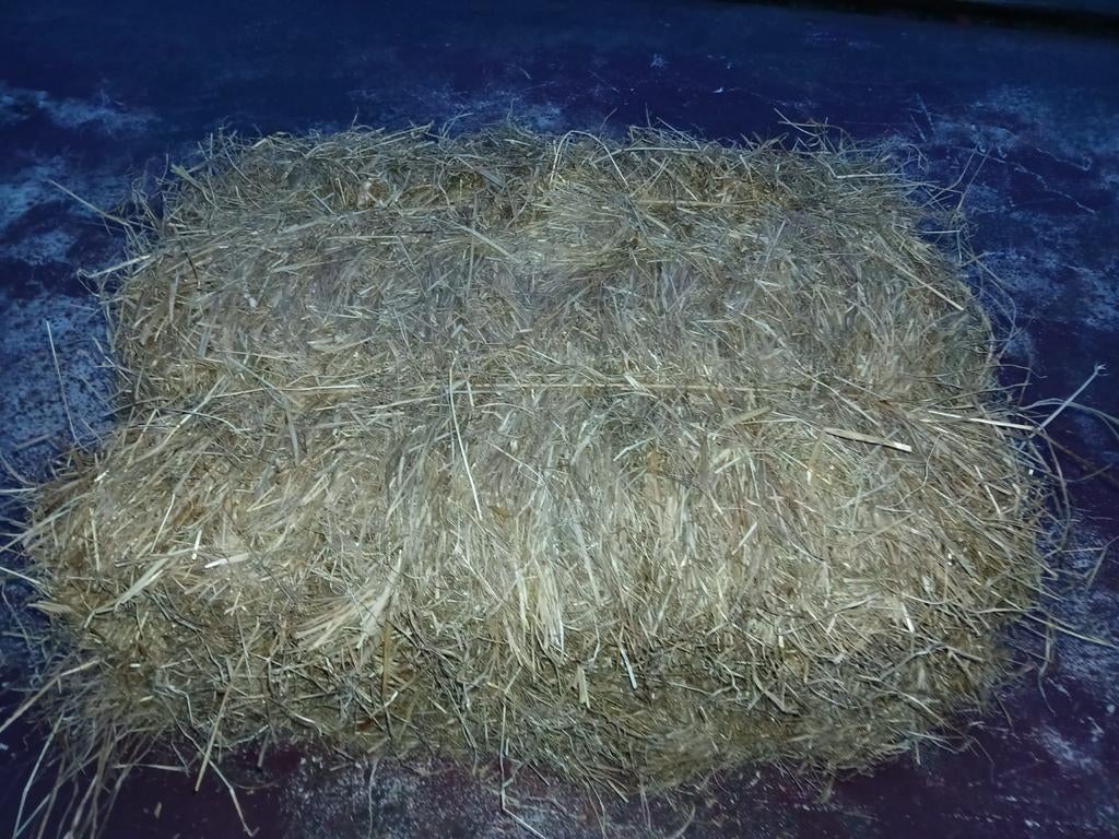 Kleine hooi balen beschikbaar. Hanteerbare balen +/- 16 kg, Ophalen, Vee