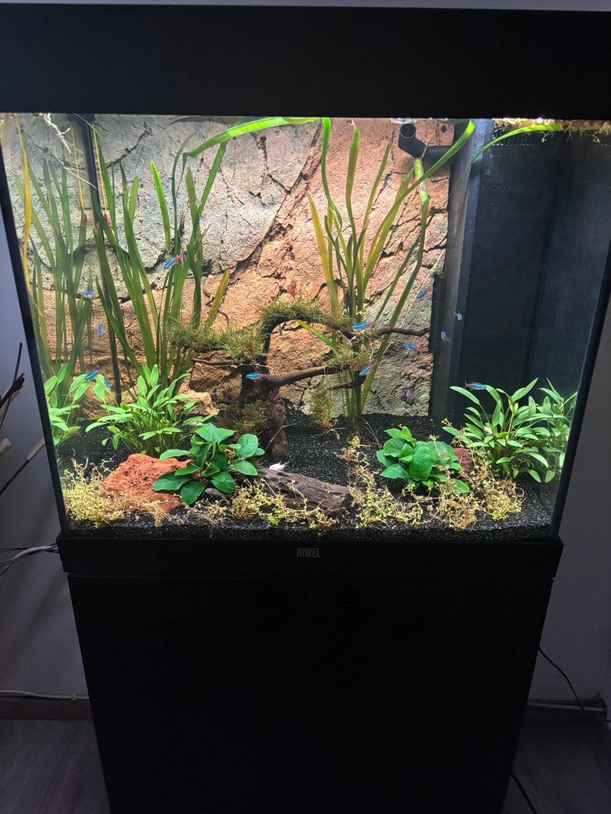 Juwel lido 120, helialux en smart controle, Dieren en Toebehoren, Vissen | Aquaria en Toebehoren, Ophalen, Zo goed als nieuw, Gevuld zoetwateraquarium