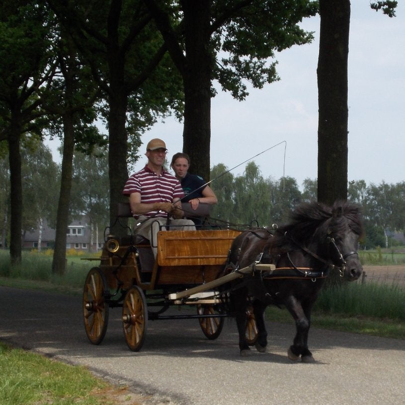 Klassieke / historische Shetlander/ A-pony Dos-a-dos rijtuig, Zo goed als nieuw, Overige typen, Pony