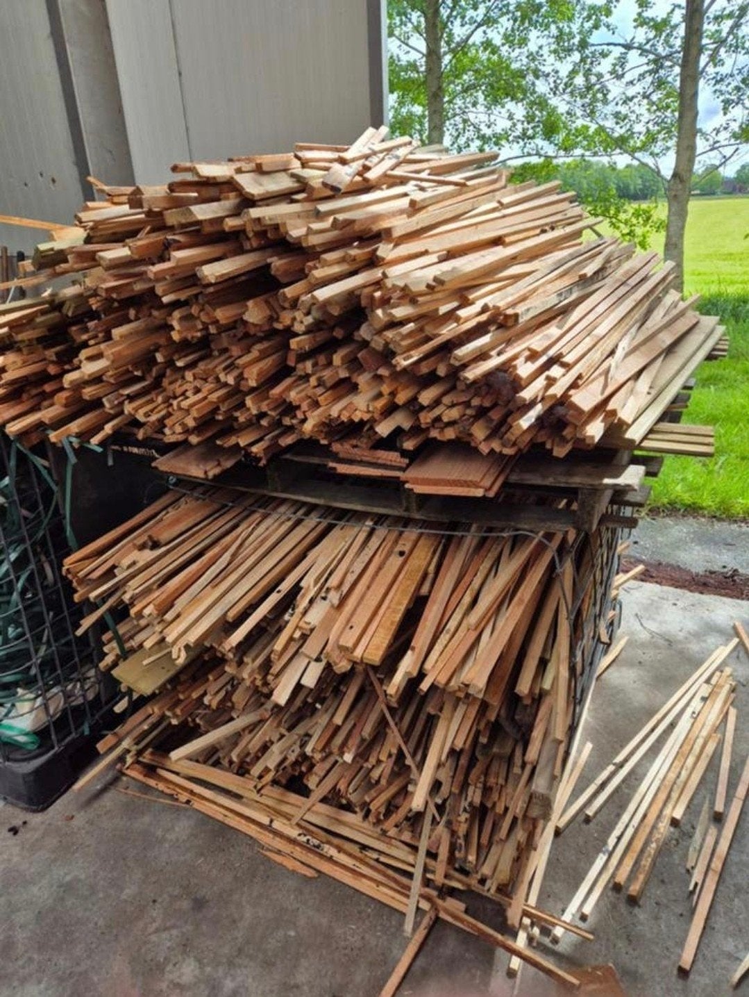 Gratis latten douglas latjes aanmaak houtjes afhalen, Ophalen, Nieuw, 250 cm of meer, Planken