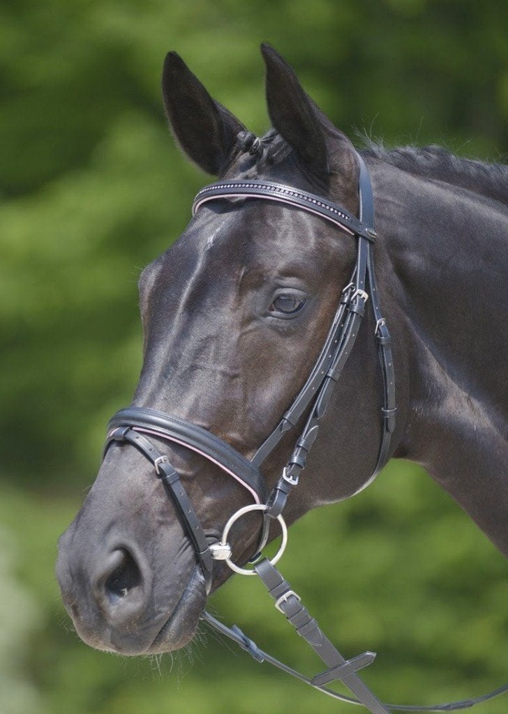 Nieuw Star Diamond hoofdstel Zwart/Roze maat pony, Dieren en Toebehoren, Paarden en Pony's | Hoofdstellen en Tuigage, Dressuur
