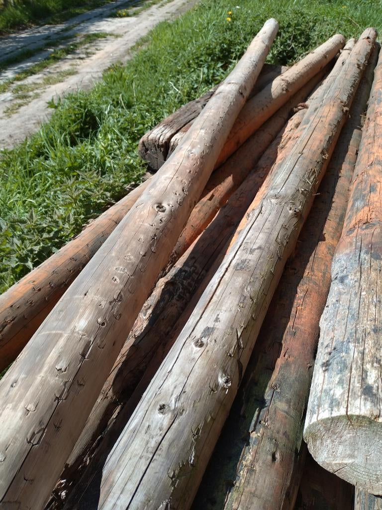 10 Prachtige Kastanje palen, minstens 350 lang, Tuin en Terras, Palen, Balken en Planken, Ophalen, Gebruikt, 250 cm of meer, Palen