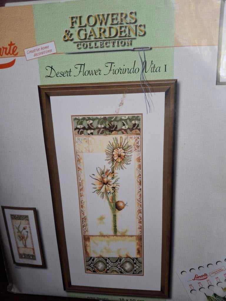 Desert flower-fiorindo vita, Ophalen of Verzenden, Nieuw, Borduurpakket