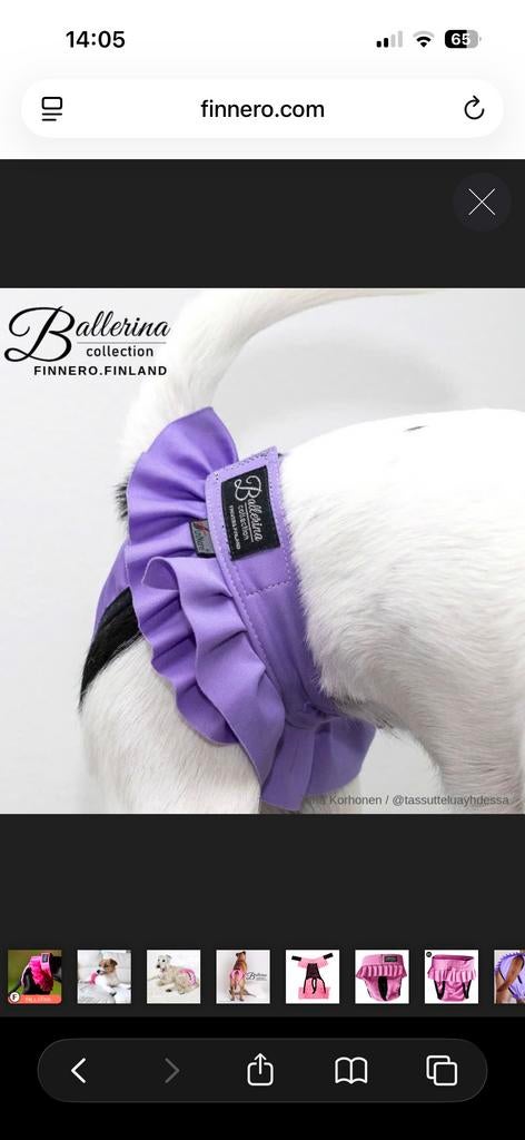 Loopsheid broekjes, Dieren en Toebehoren, Honden-accessoires, Ophalen of Verzenden, Nieuw