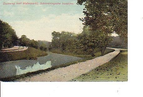 Ansichtkaart 	Den Haag	Scheveningse Bosjes	Duinweg, Verzenden, Voor 1920, Gelopen, Zuid-Holland