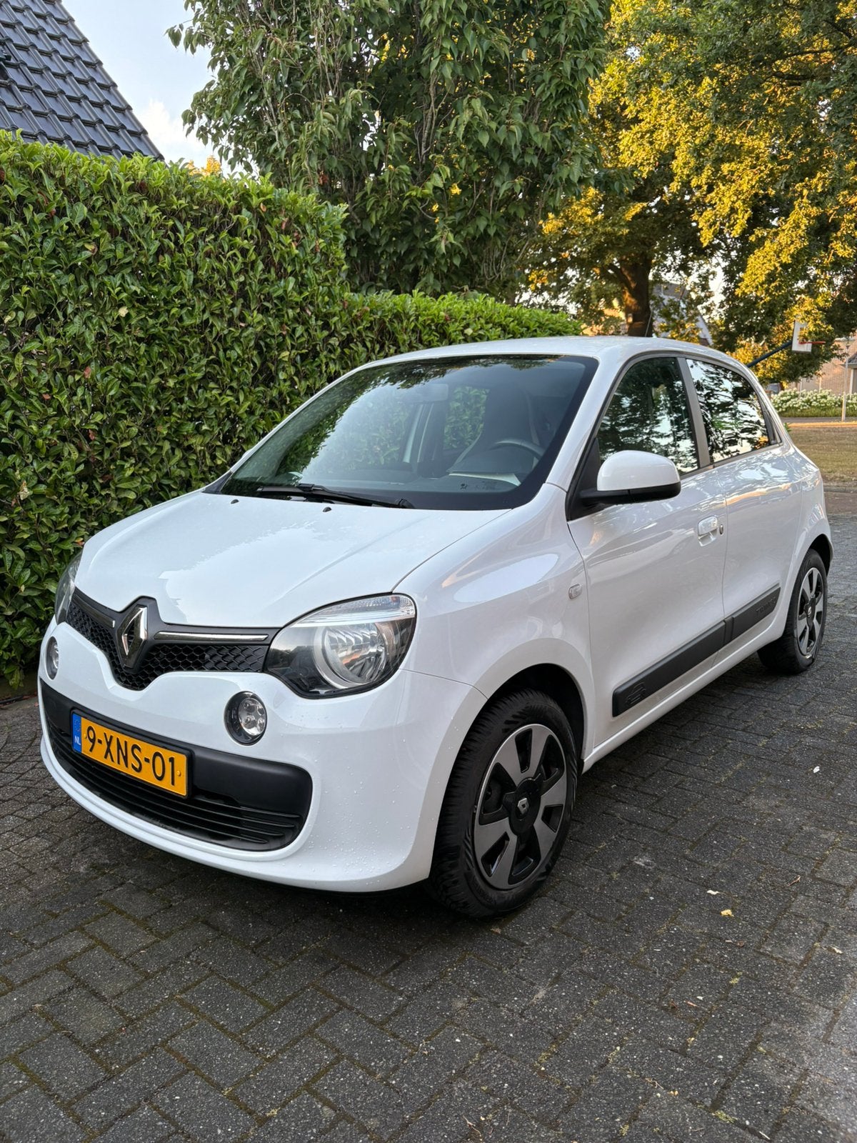 Renault Twingo 1.0 SCe 70pk S&S 2014 Wit, Elektrische ramen, Zwart, 840 kg, 4 stoelen